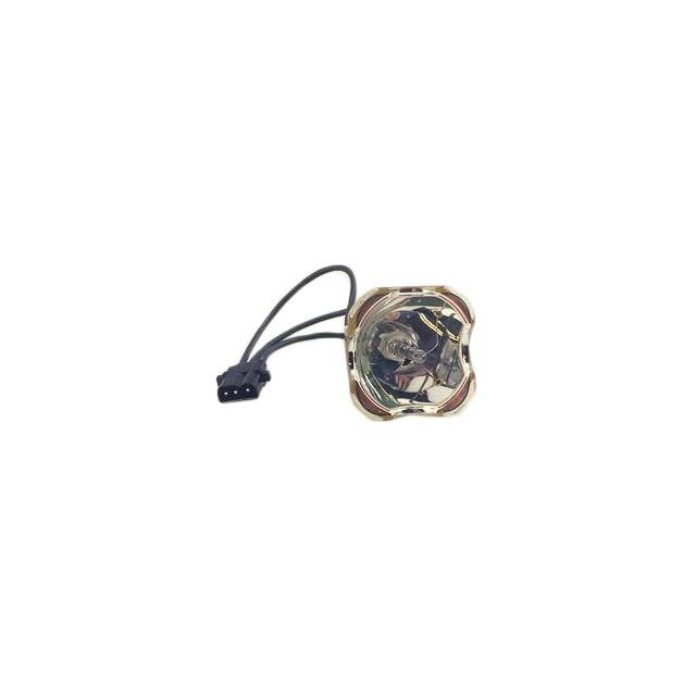 WW-EWEG-9 BARE LAMP