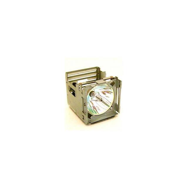 WW-2DSL-2 LAMP & CAGE