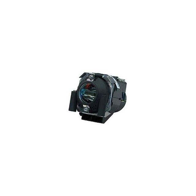 WW-2DWG-7 LAMP & CAGE