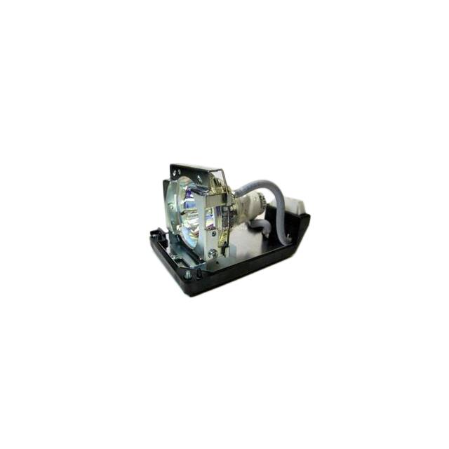 WW-2DX6-5 LAMP & CAGE