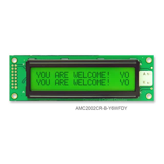 AMC2002CR-B-Y6WFDY 20X2 CHARACTER LCD STN YG