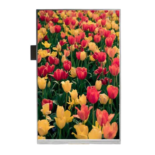 AFC8001280A0-8.0INTM-I 8'' MIPI IPS TFT, 800x1280