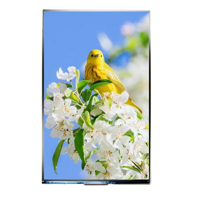 AFC8001280A0-10.1INTM-I-C 10.1'' MIPI IPS CTP, 800x1280
