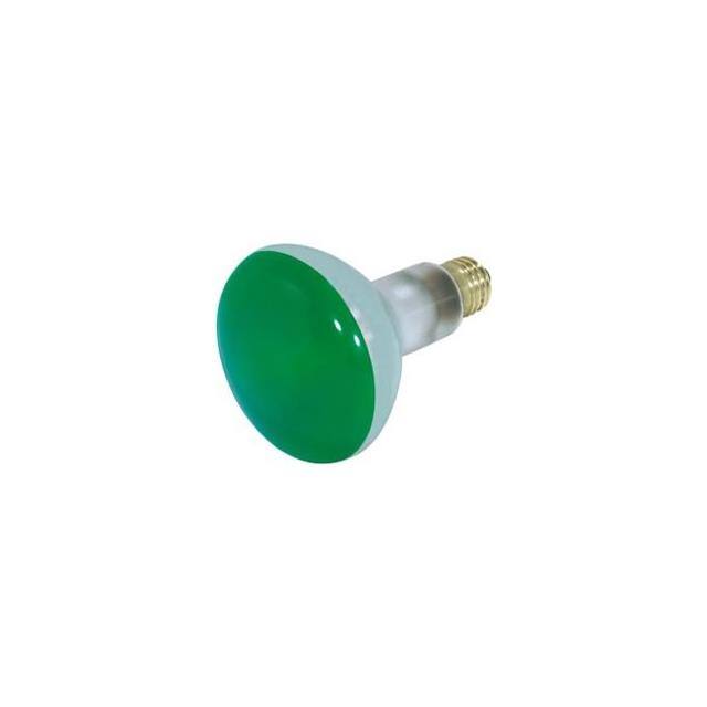 WW-1UHS-8 65/75W  GREEN 120/130V FLOOD MED