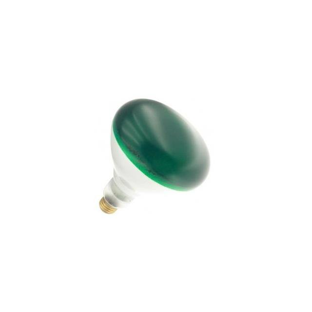WX-EHL1-8 150BR/G 120V