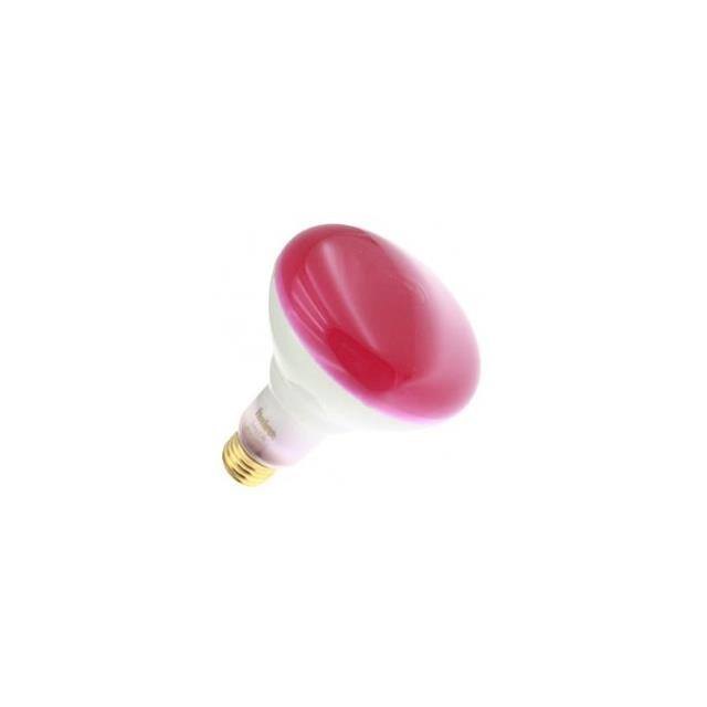 WX-EJV7-6 65BR30130V /TL-PK#1-5K