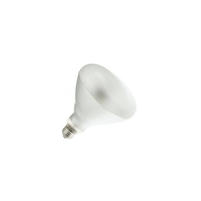 WX-EJLV-5 85BR40/FL60/LL 120V