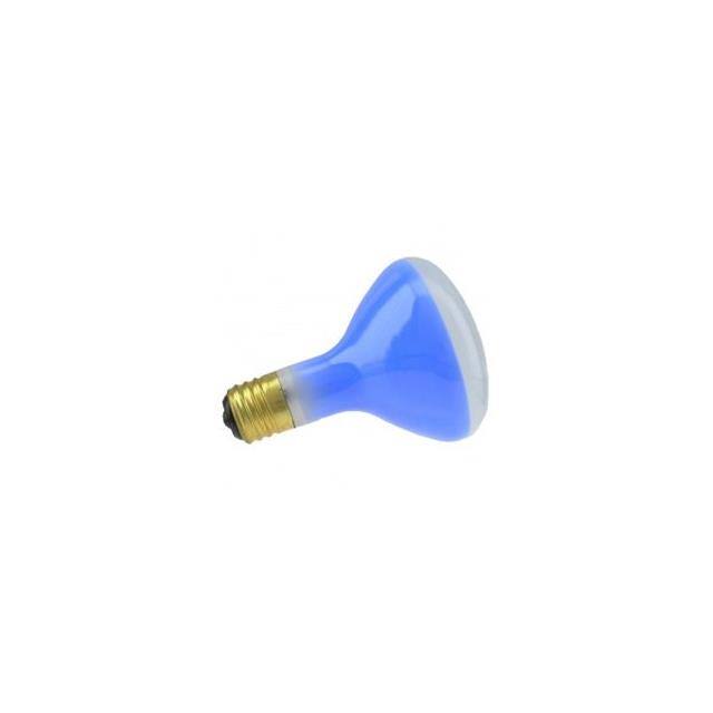 WX-EJ67-8 100/300NECK /R40-BLUE 120V
