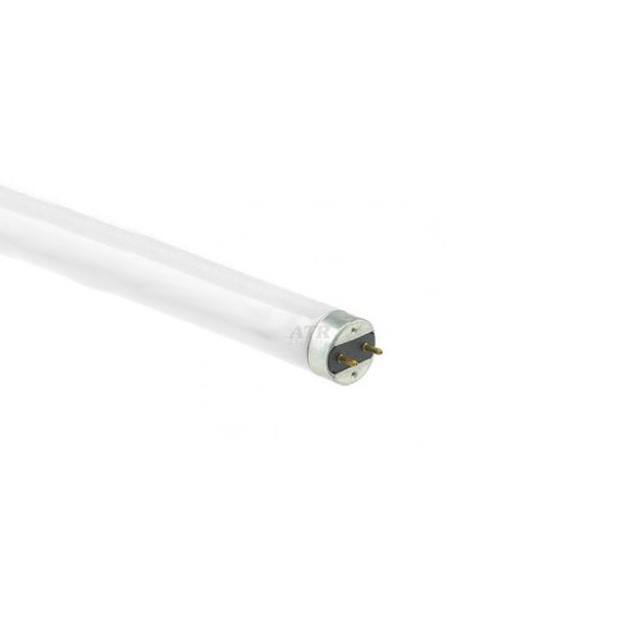 WX-EHY0-3 FOR LIGHT BULB / LAMP 34144GE