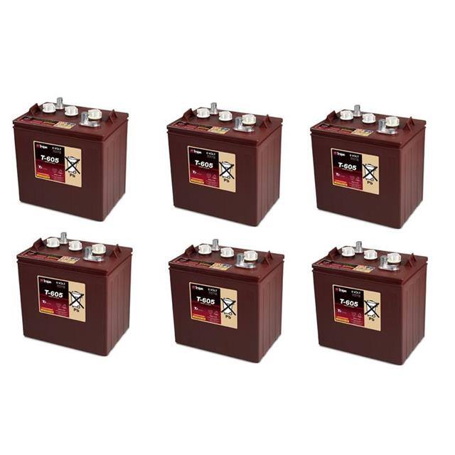 T605-6-PACK Replacement for Trojan T605-6-PA
