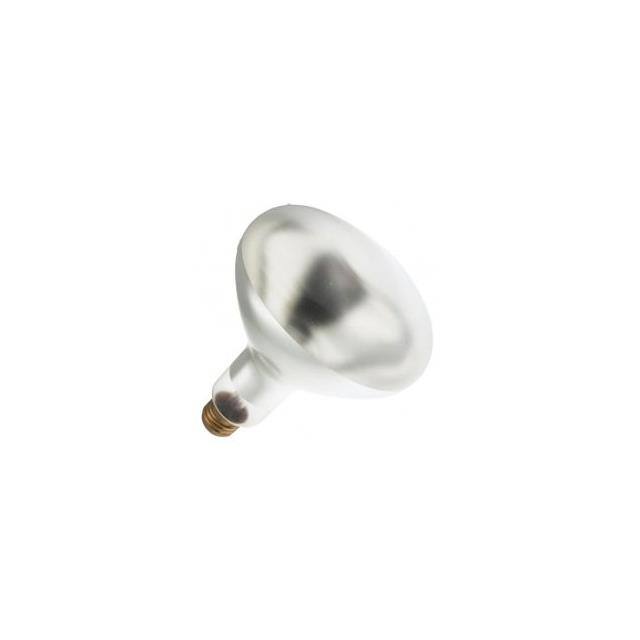 WX-EEHS-1 200BR/SP 120V