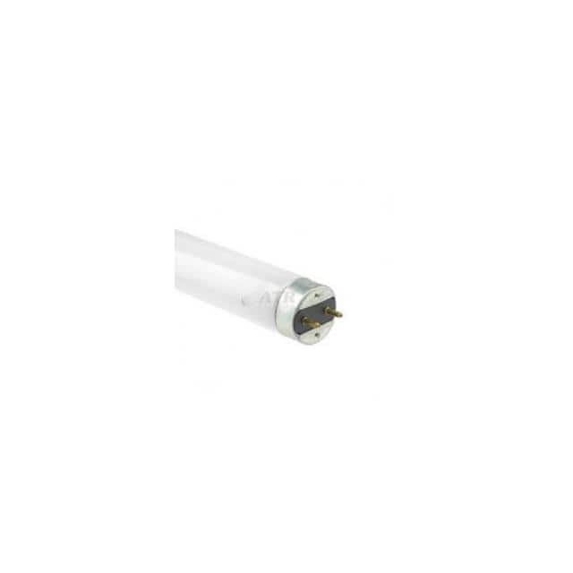 WX-EGRF-3 FOR LIGHT BULB / LAMP 26073ATR