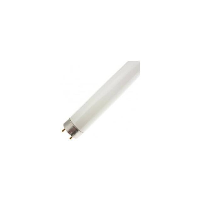 WX-EGZ1-8 FOR LIGHT BULB / LAMP 29982ATR