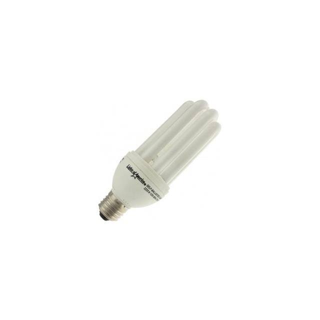 WX-EHKT-8 FOR LIGHT BULB / LAMP 33034LOA