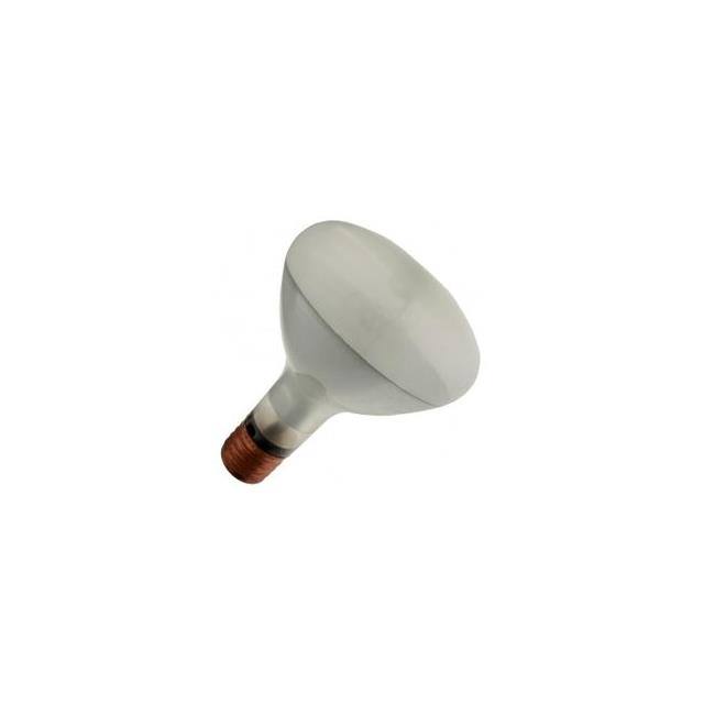WX-EG1Y-8 FOR LIGHT BULB / LAMP 21980GE