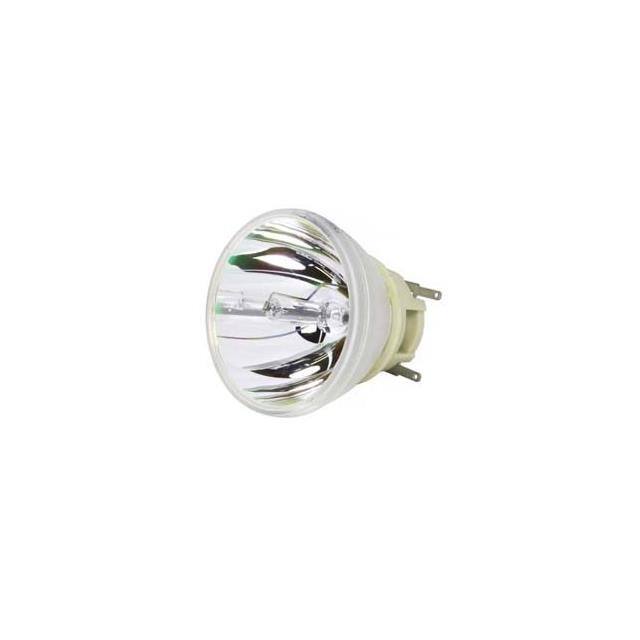 WW-SEGG-0 FOR OPTOMA BL-FP240E BULB
