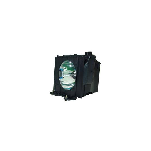 WW-A64L-0 LAMP & CAGE