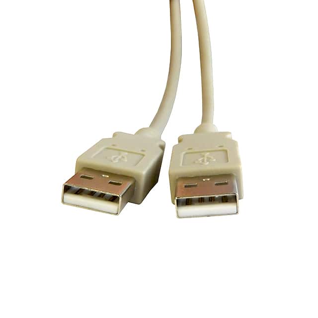 SC-2AAE010F CBL USB2.0 A PLUG TO A PLUG 10'