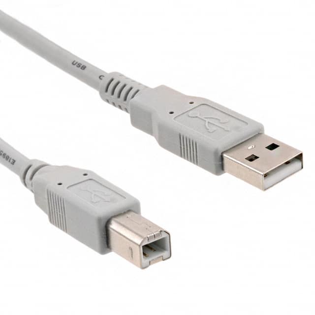 101-1030-BE-00200 CBL USB1.1 A PLUG TO B PLG 6.56'