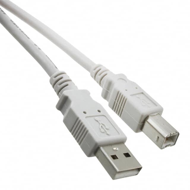 30-3007-6 CBL USB2.0 A PLUG TO B PLUG 6'