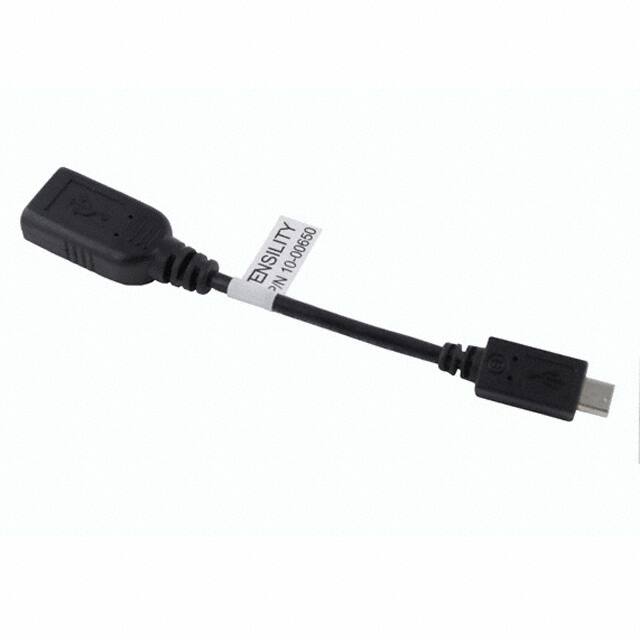 10-00650 CBL USB2.0 A RCP-MCR B PLG 0.33'