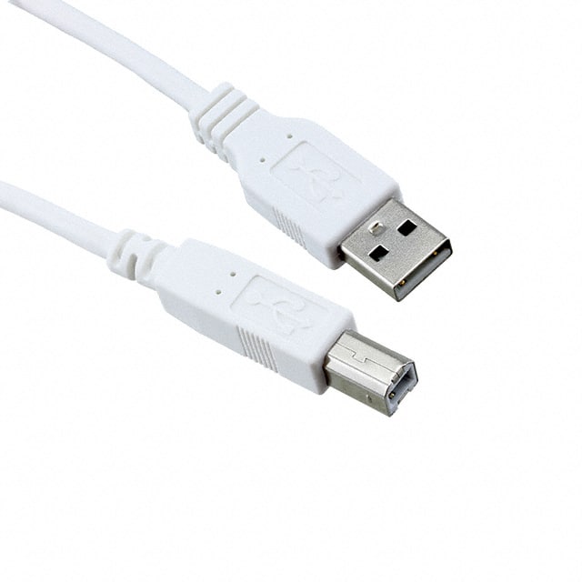 3021063-10 CBL USB2.0 A PLUG TO B PLUG 10'