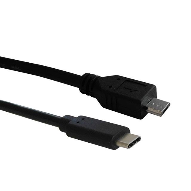 SC-2CMK020M CBL USB2.0 MCR B PLG-C PLG 6.56'