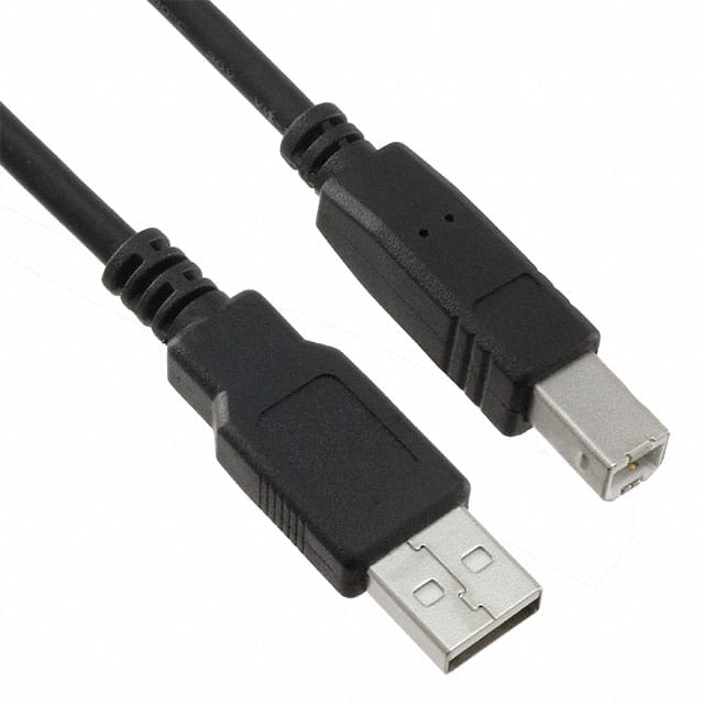 17-201081 CBL USB2.0 A PLUG TO B PLG 6.56'