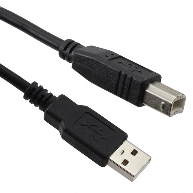 17-201091 CBL USB2.0 A PLUG TO B PLG 9.84'