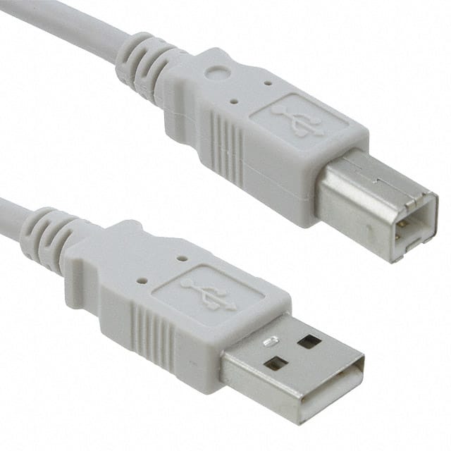 30-3007-10 CBL USB2.0 A PLUG TO B PLUG 10'