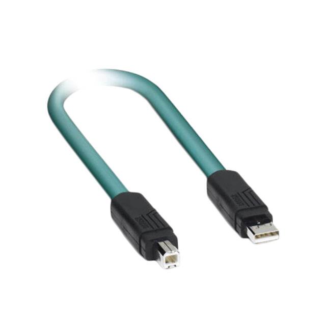 1653948 CBL USB2.0 A PLUG TO B PLG 16.4'