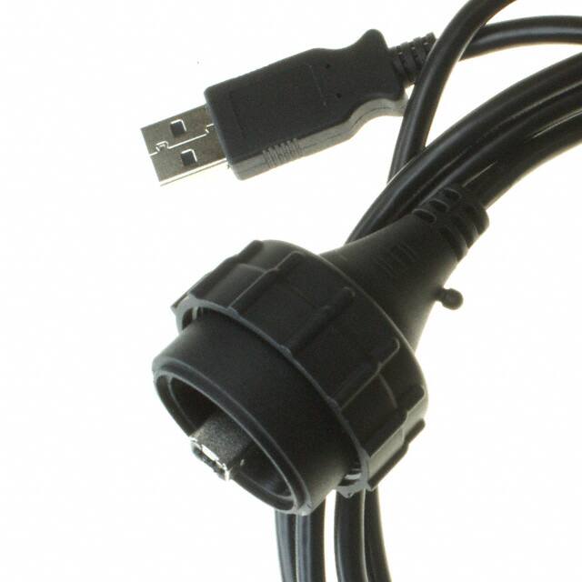 SCPU-17-G-2.00-BMS-AM CBL USB2.0 A PLUG-B PLUG W/COUPL