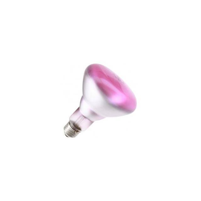 65BR30/PK 120V Replacement for Light Bulb / Lam