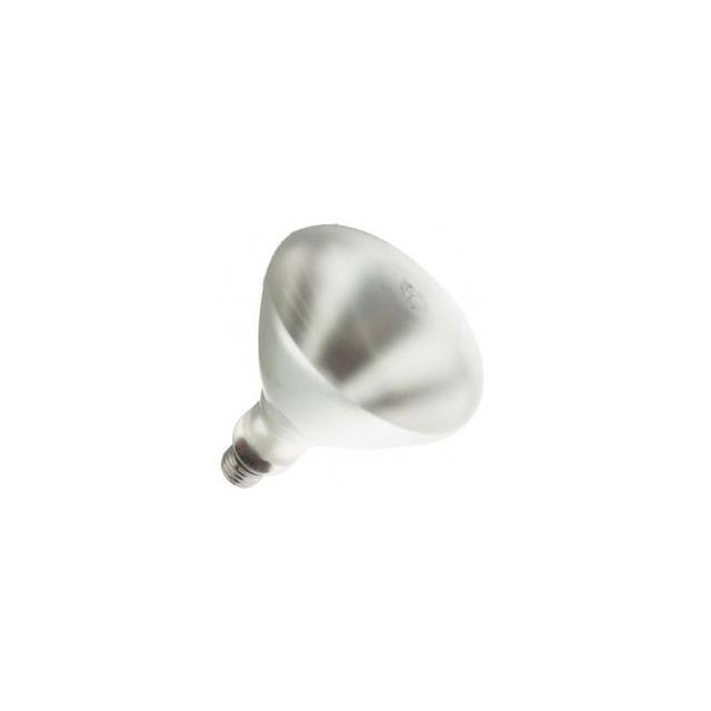 120R40/SP/MI 120V Replacement for Light Bulb / Lam
