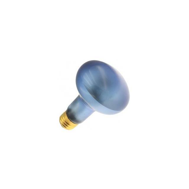 75R25/GROW 130V Replacement for Light Bulb / Lam
