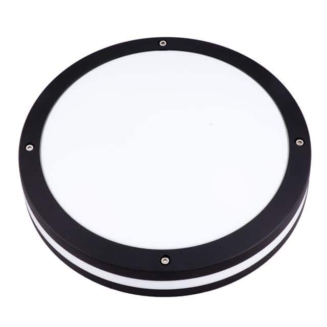3-4121D-05-3000K OUTDOOR LED CEILING/WALL LIGHTIN
