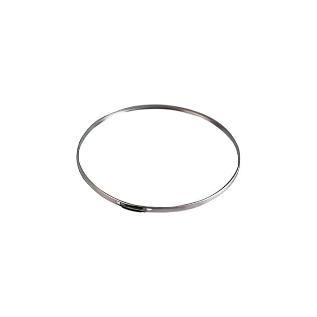 WX-DUA7-0 STAINLESS STEEL CLAMP BAND, 16 I
