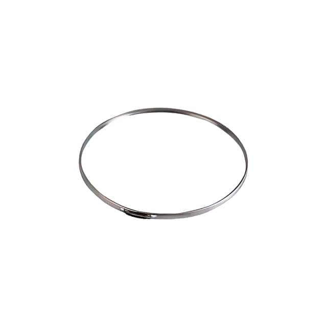 WX-DTBC-2 STAINLESS STEEL CLAMP BAND, 22 I