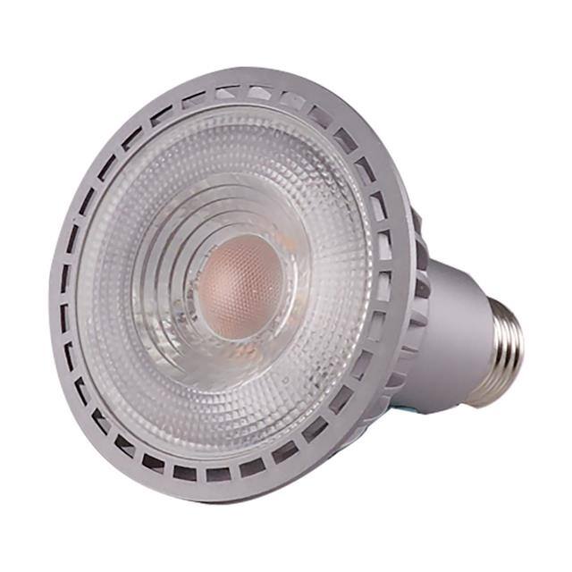 S12243 Replacement for Satco S12243 Rep