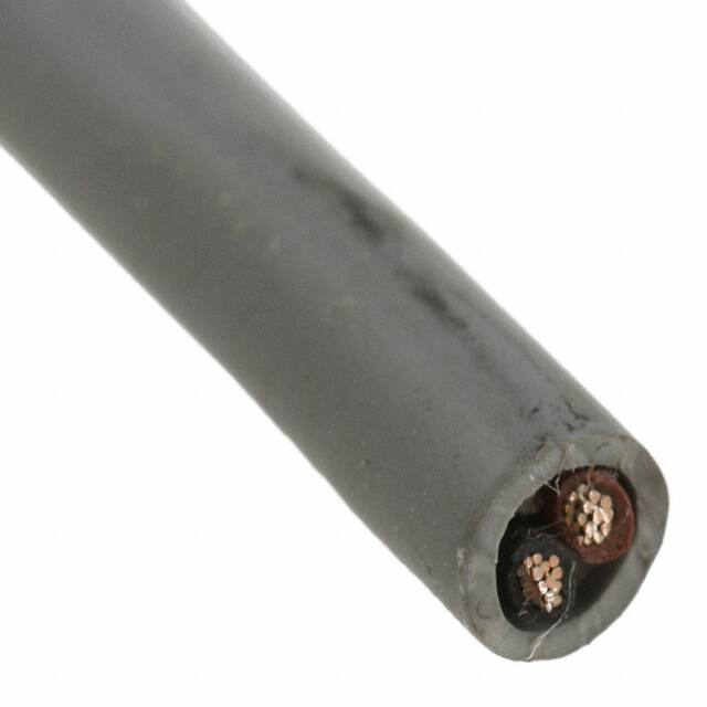 77020 SL199 CBL 2COND 18AWG SLATE 100=100'