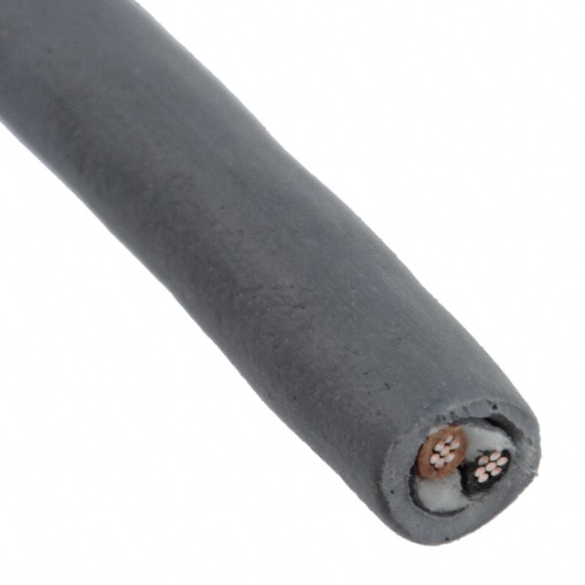 77007 SL199 CBL 2COND 22AWG SLATE 100=100'