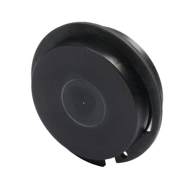 G040167000 PINHOLE 0.2 MM, 25 MM MOUNTED