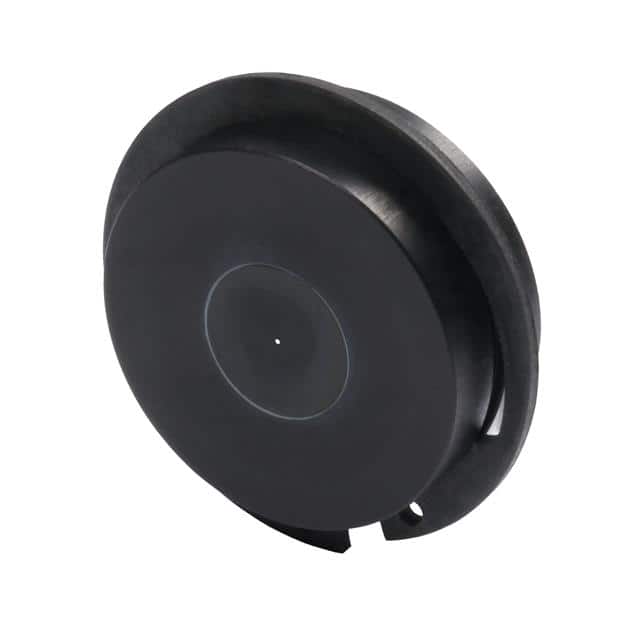 G040168000 PINHOLE 0.3 MM, 25 MM MOUNTED