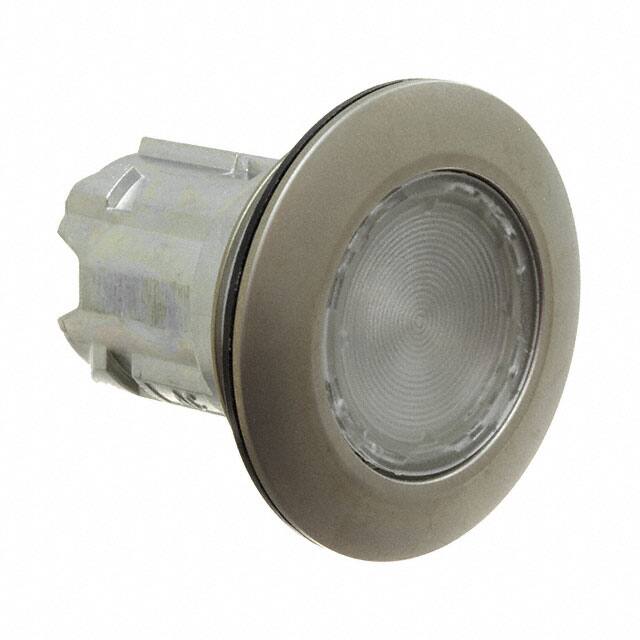 45-2T07.4FK0.000 INDICATOR PANEL LED WHT