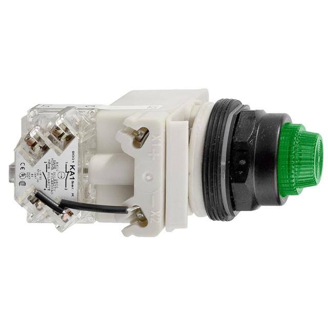 9001SKT38LGG31 PILOT LIGHT 120V 30MM SK +OPTION