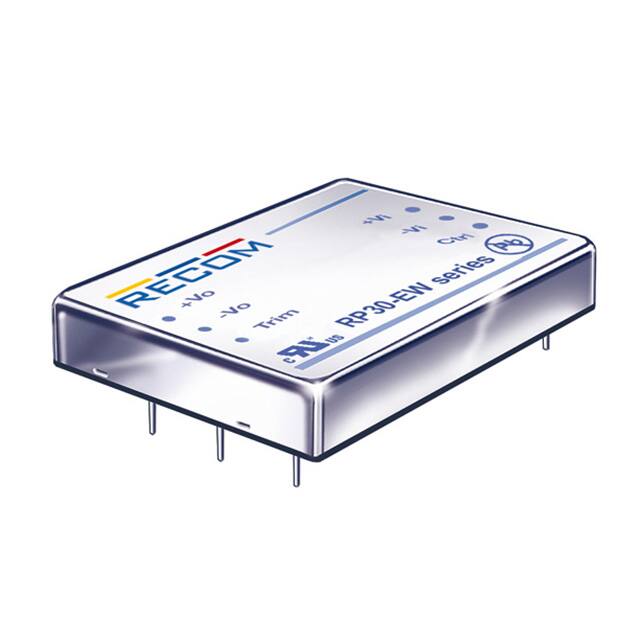 RP30-4815SEW DC DC CONVERTER 15V 30W