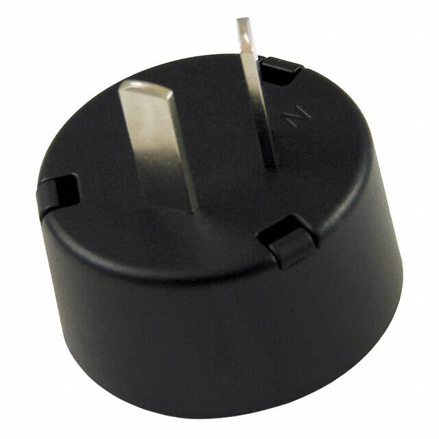 FPN INPUT PLUG ARGENTINA FOR F ADAPT