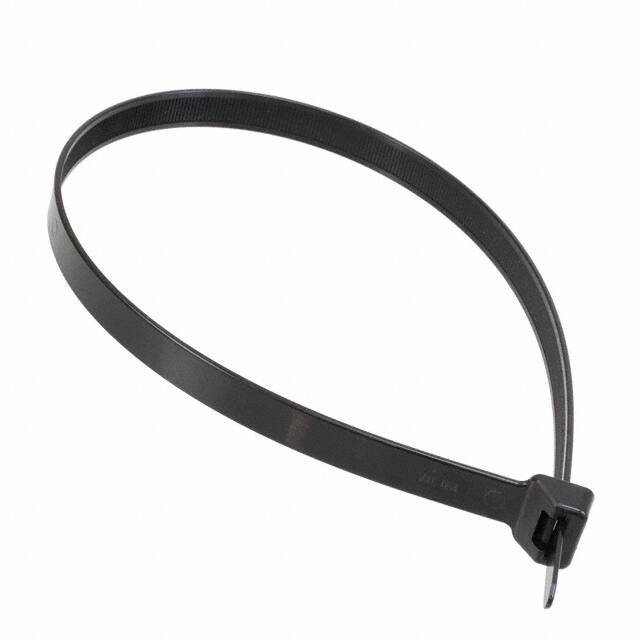 T255R0HIRX2 CBL TIE LOCKING BLK 250LB 1.667'