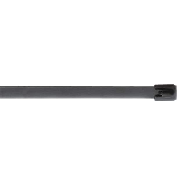TBC100C CBL TIE LOCKING SILVER 200LB 4"