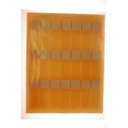 LJSL6-Y3-1 LABEL SELF LAMINATNG 1X3.17" WHT